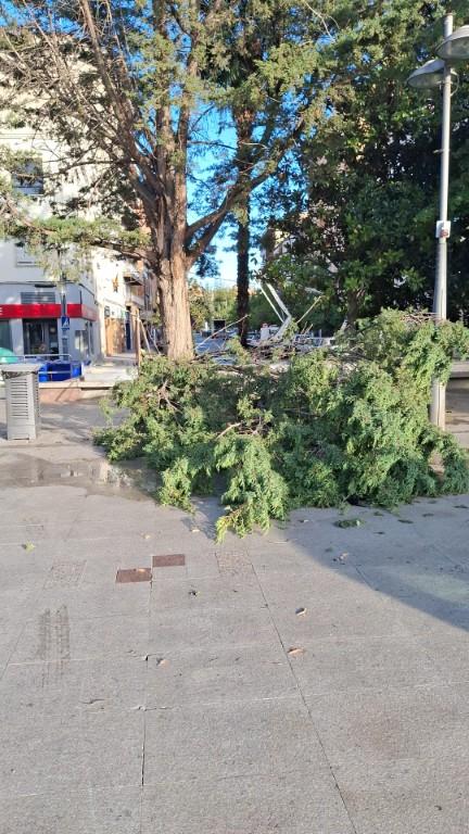 Imagen Afecciones por la tormenta de anoche en Binéfar