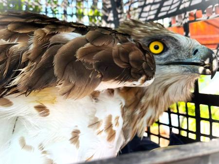Imagen El área de Medio Ambiente de Binéfar realizó 180 atenciones a animales...