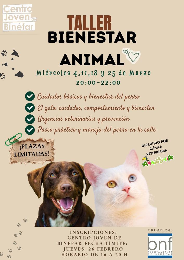 Imagen Juventud organiza un taller de bienestar animal a lo largo de marzo