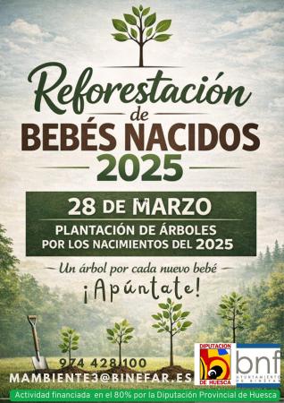 Imagen Plantación de árboles por los nacidos en 2025