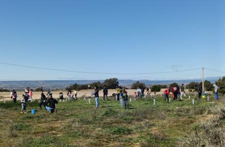 Imagen Binéfar continúa el domingo la reforestación en terrenos municipales con...