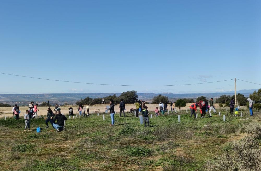 Imagen Binéfar continúa el domingo la reforestación en terrenos municipales con asociaciones