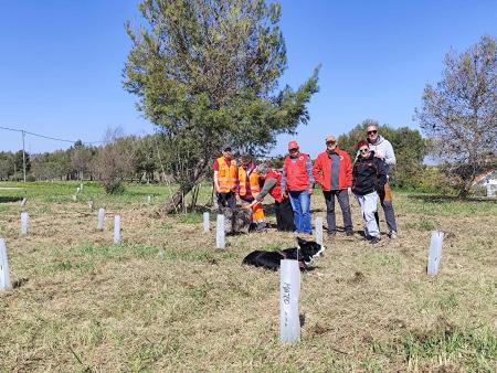 Imagen Estudiantes y asociaciones reforestan Binéfar