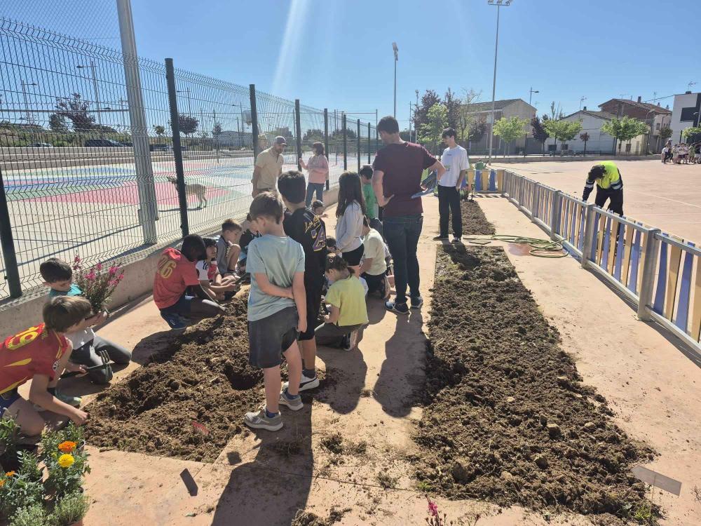 Imagen Los escolares de Binéfar aprenden a cuidar las zonas verdes y a reciclar