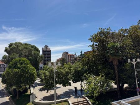 Imagen Hoy entra en servicio la luz láser verde para ahuyentar aves