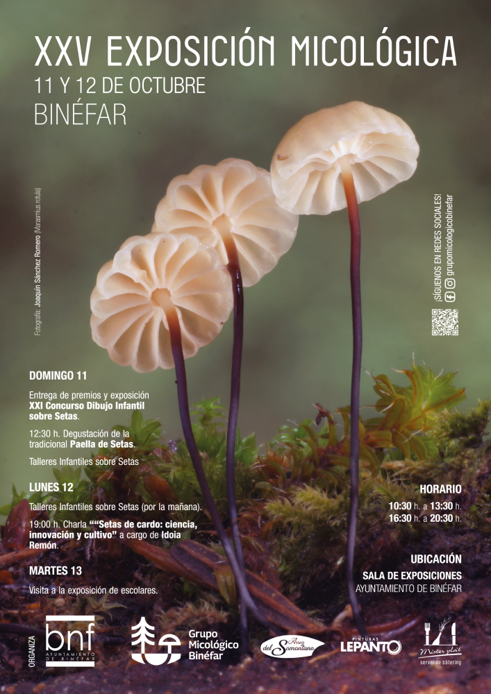 Imagen Las Jornadas Micológicas cumplen 25 años divulgando el mundo de las setas en Binéfar