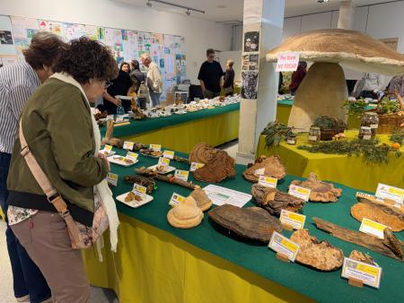 Imagen Las Jornadas Micológicas de Binéfar expone 224 especies